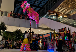 DANZA DEL LEÓN EN POSTE ALTO INDIVIDUAL