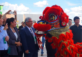 SHOW DANZA DEL LEÓN CHINO EN PISO TRADICIONAL